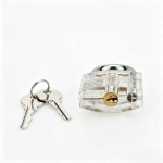 Clear Acrylic Practice Lock (Training)